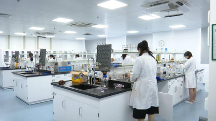 江蘇海門 做強科技服務業(yè)，為穩(wěn)增長添韌勁——聚焦技術推廣服務的新路徑